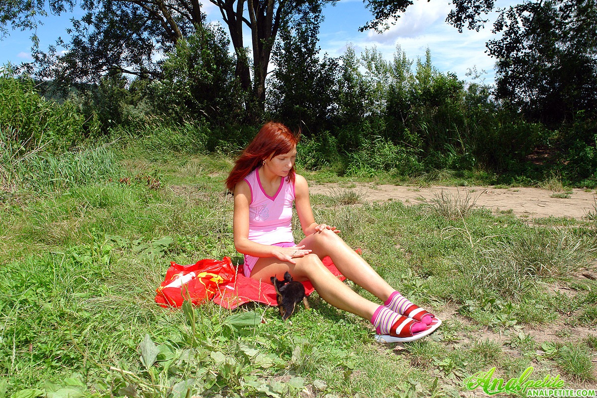 Anālās filmiņas par anālo, foto 0